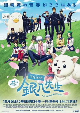 3年Z班银八老师